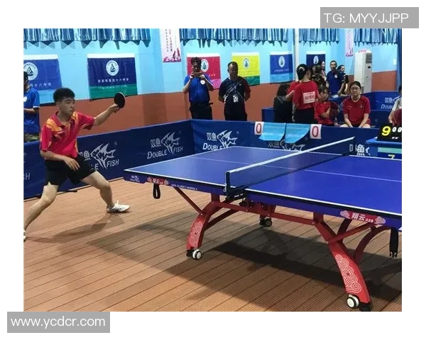 赛后复盘：重庆乒乓球队 vs 南京乒乓球队的耐力
